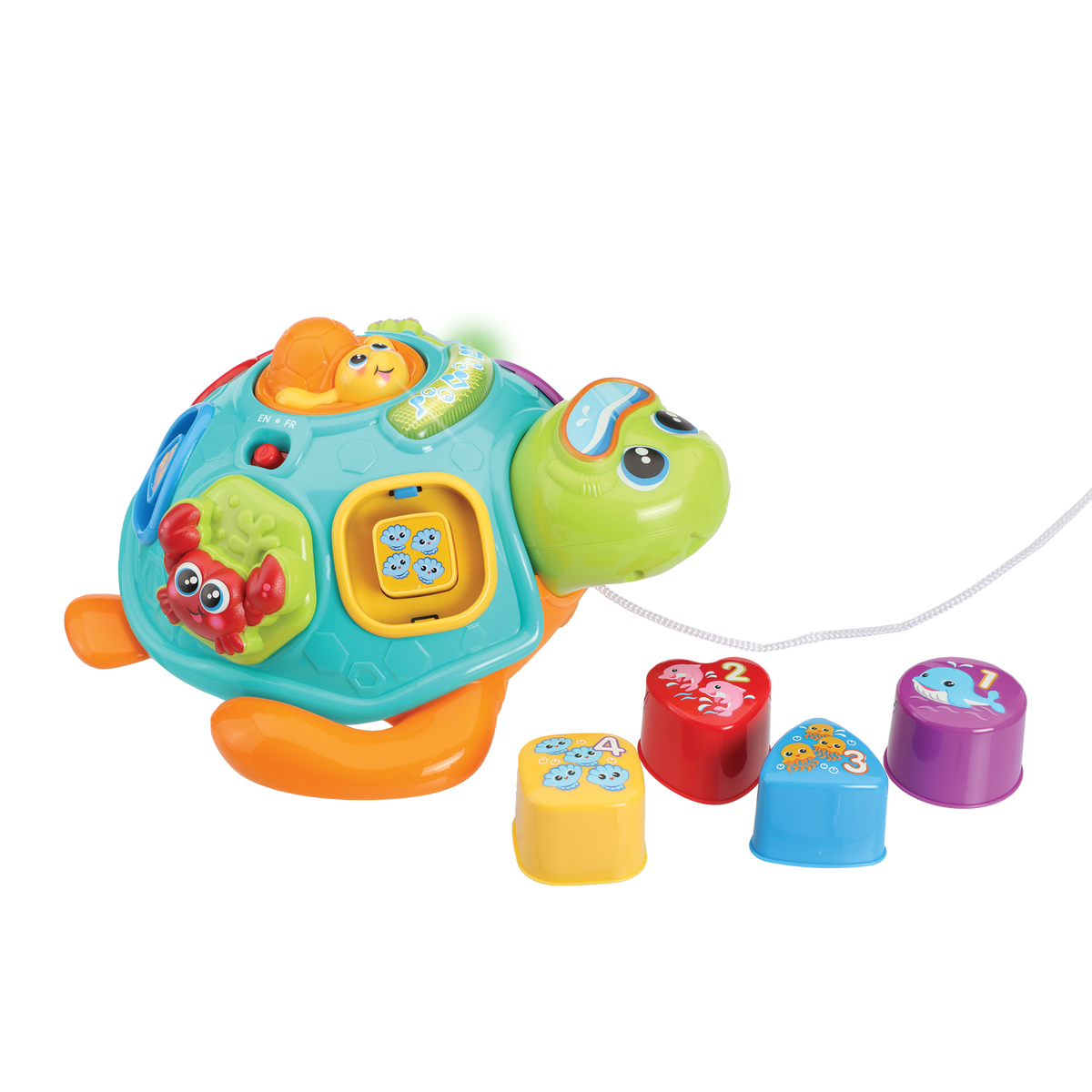 Jouet tortue à fonctions Winfun – 28,5 × 13 × 23,8 cm