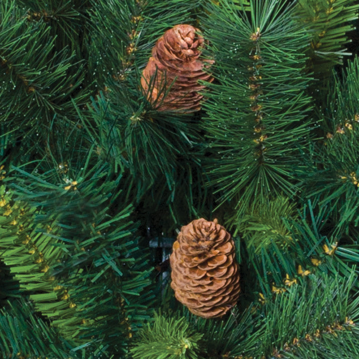 Sapin Royal Majestic 180 cm