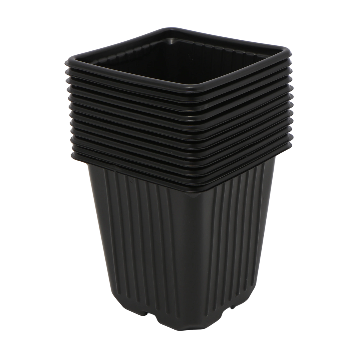 Lot de 12 pot de pépinières