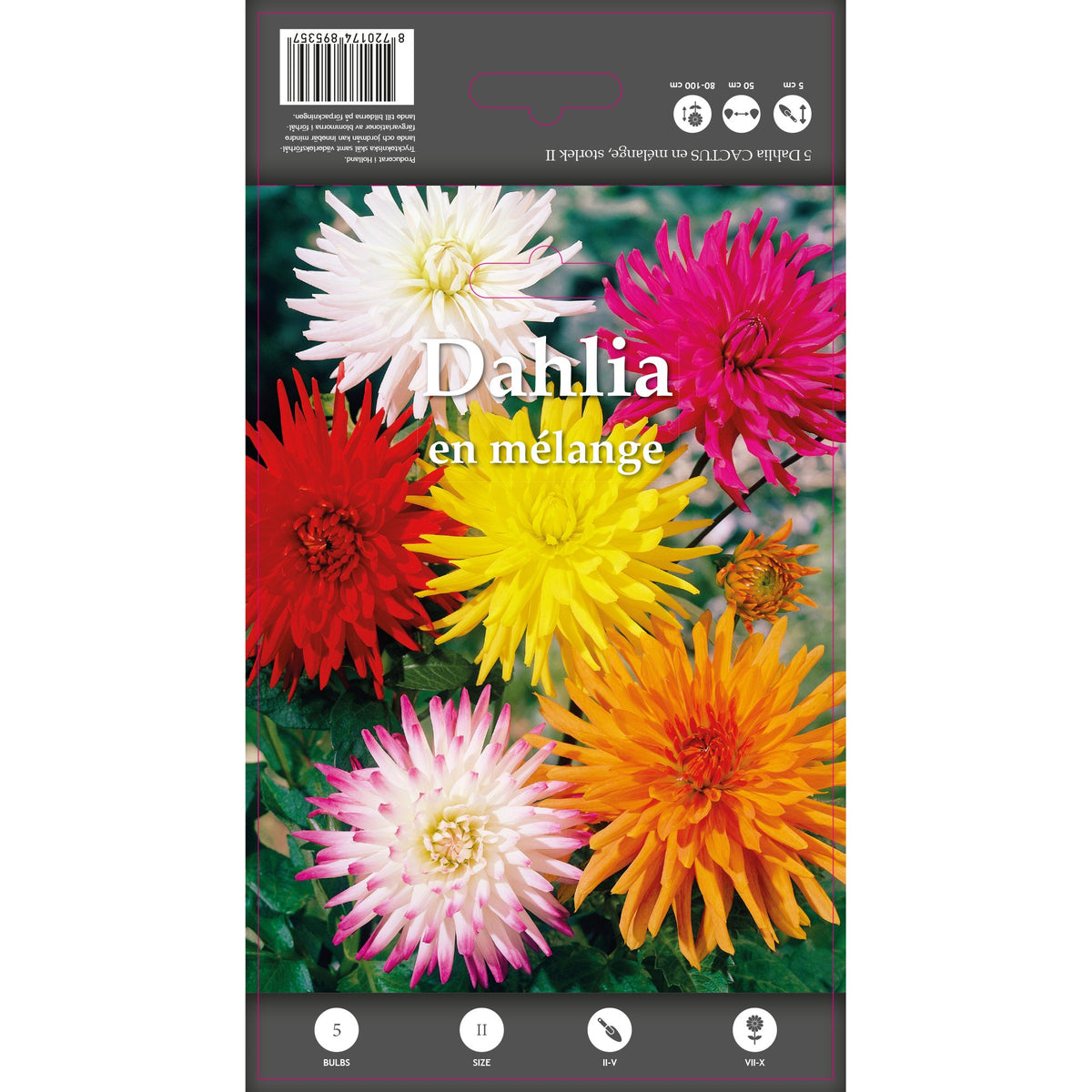 POS000_optimized_6985cd6ad3d69_2026-02-06_11-15-54.jpg