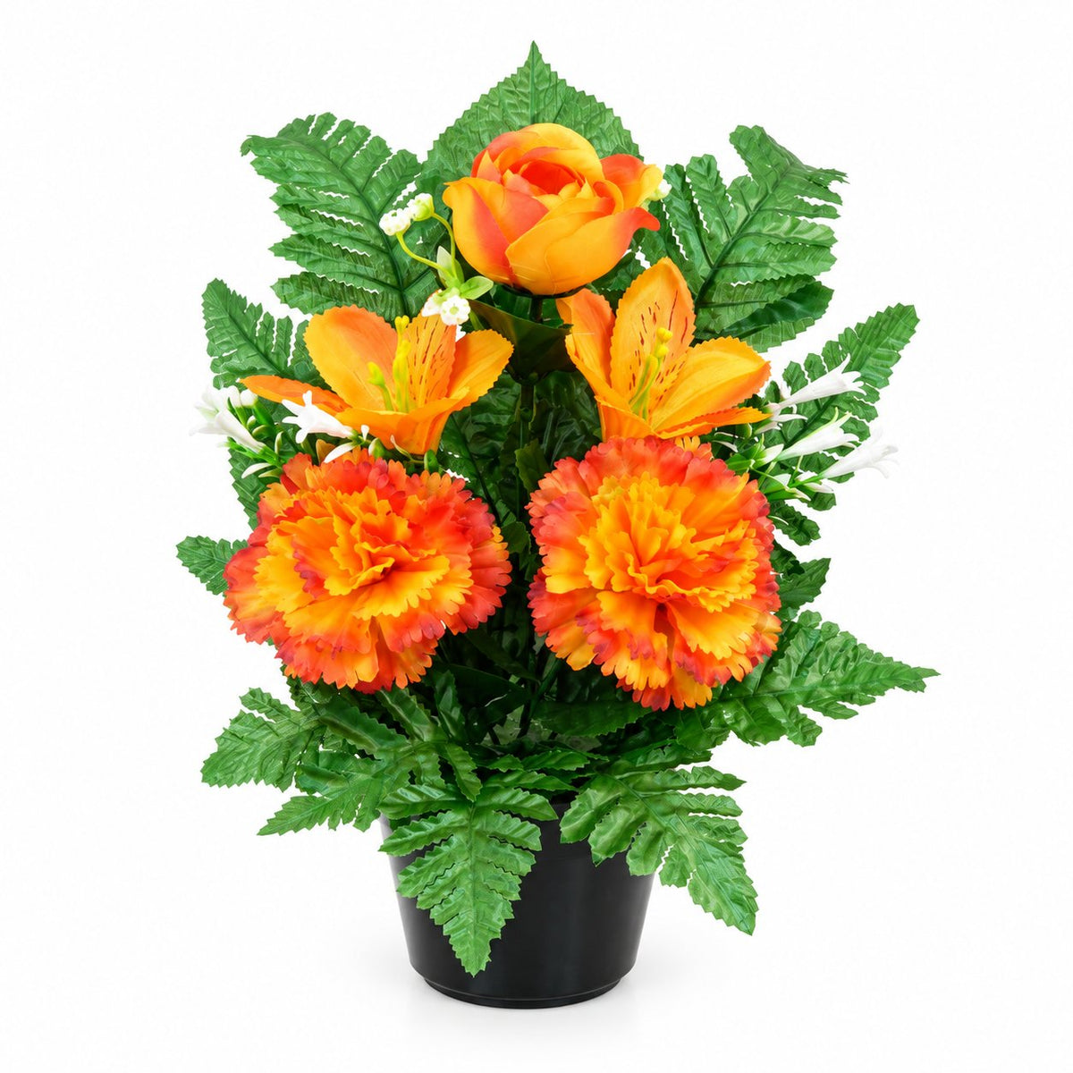 POS000_optimized_6aacea06631fa_2026-09-18_07-36-38.jpg