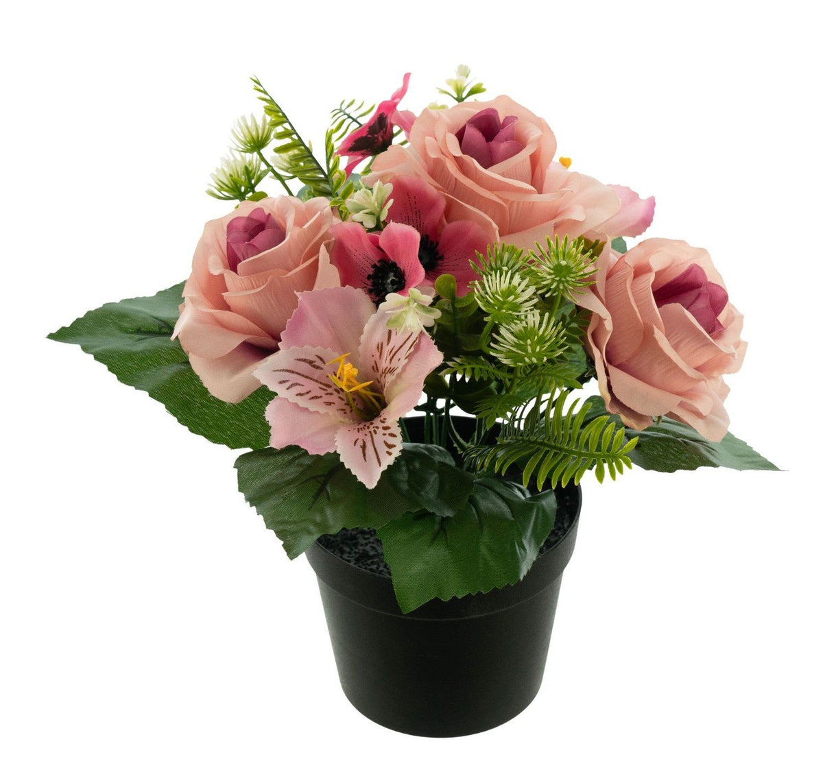 POS000_optimized_6aacea65d07cd_2026-09-18_07-38-13.jpg